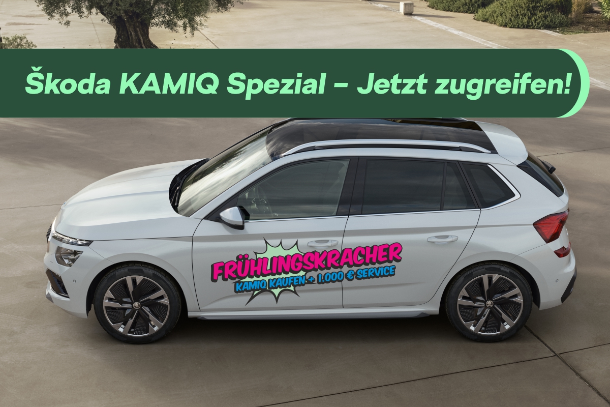 kamiq_fruhlingskracher_hp_003