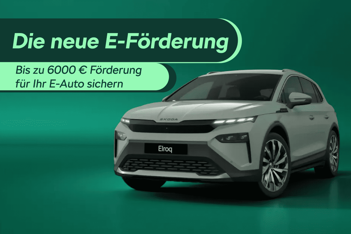 Die Neue E-Förderung